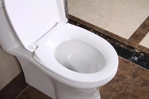 馬桶堵住怎么辦 馬桶暢通無堵的方法(圖2)