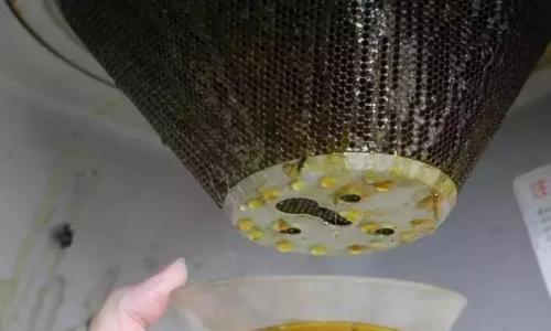 櫻花抽油煙機售后怎么樣
