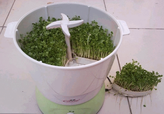 豆芽機漏水是怎么回事